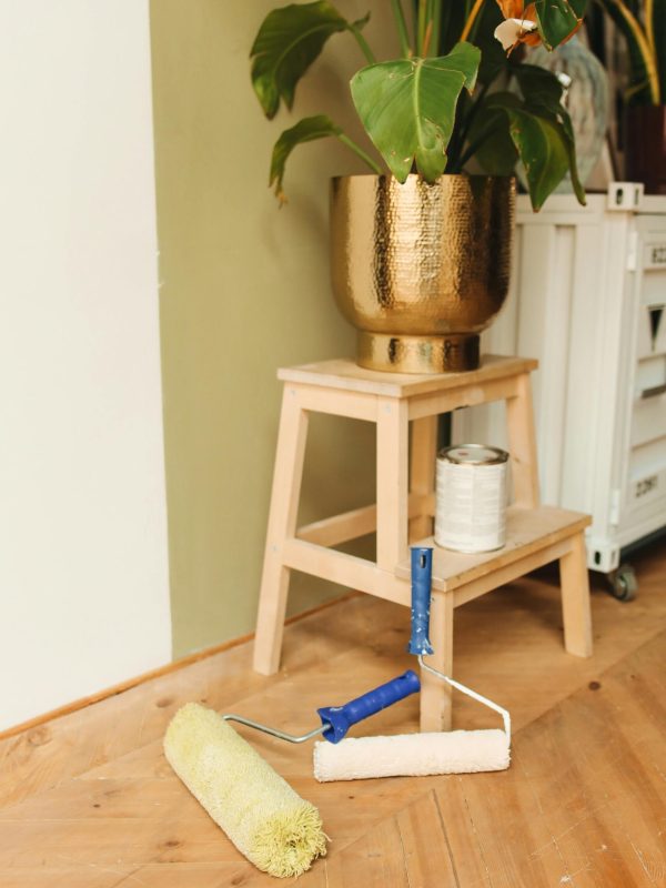 pexels-polina-tankilevitch-5583117