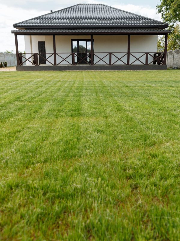 pexels-thirdman-8469933